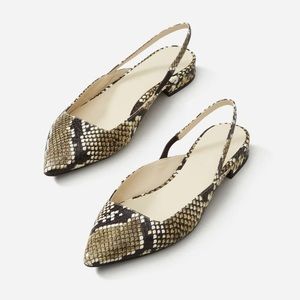 Everlane Editor Slingback Snake Flats 6